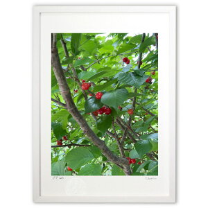 ŉ Nł ([)CeA Ǌ| z i |X^[ A[g rO ւɏ  v[g _ A[gt[