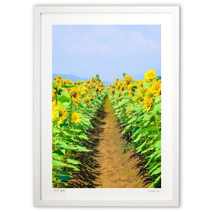 ŉ ɂ߂ (mitan)CeA Ǌ| z i |X^[ A[g rO ւɏ  v[g _ A[gt[