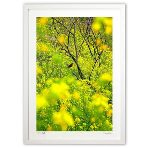 ŉ ؂̉ԂĂ񂱐 (mitan)CeA Ǌ| z i |X^[ A[g rO ւɏ  v[g _ A[gt[