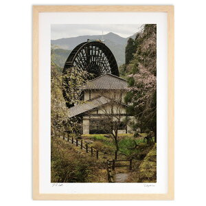 ŉ Ԃƍ (okunohosmichi_yrt)