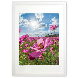 ŉ ~co`̉ԉ (䐬M)CeA Ǌ| z i |X^[ A[g rO ւɏ  v[g _ A[gt[