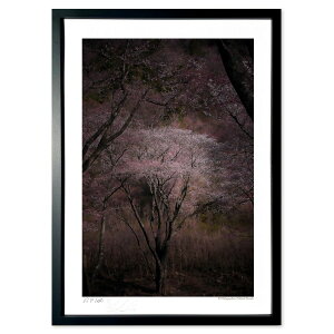 ŉ Ǎ̎ (ramble)CeA Ǌ| z i |X^[ A[g rO ւɏ  v[g _ A[gt[