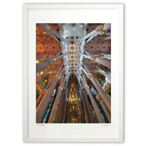 ŉ TO_Et@~A (takko)CeA Ǌ| z i |X^[ A[g rO ւɏ  v[g _ A[gt[