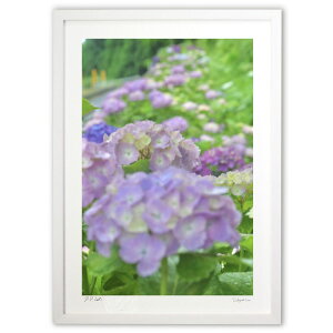 ŉ ʂ (mitan)CeA Ǌ| z i |X^[ A[g rO ւɏ  v[g _ A[gt[