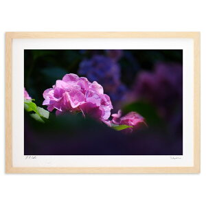 ŉ ؘRƎz (h)CeA Ǌ| z i |X^[ A[g rO ւɏ  v[g _ A[gt[