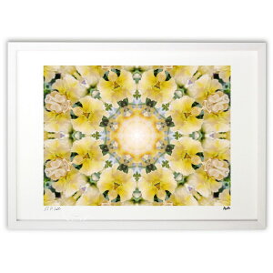 ŉ pansy (ޓs)CeA Ǌ| z i |X^[ A[g rO ւɏ  v[g _ A[gt[