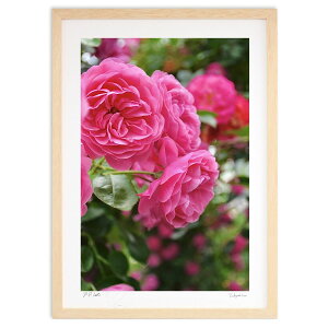 ŉ sNKN (mitan)CeA Ǌ| z i |X^[ A[g rO ւɏ  v[g _ A[gt[