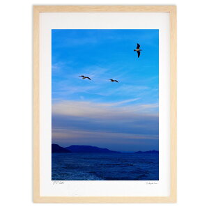 ŉ ˓Cƒ (c t)CeA Ǌ| z i |X^[ A[g rO ւɏ  v[g _ A[gt[