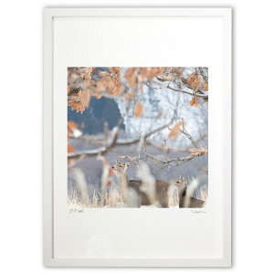 ŉ K (䐬M)CeA Ǌ| z i |X^[ A[g rO ւɏ  v[g _ A[gt[