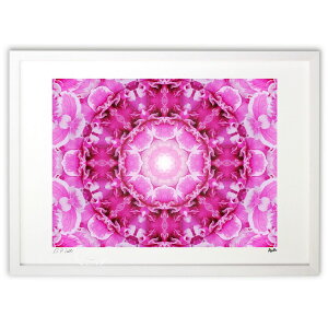 ŉ S䂩AUA (ޓs)CeA Ǌ| z i |X^[ A[g rO ւɏ  v[g _ A[gt[