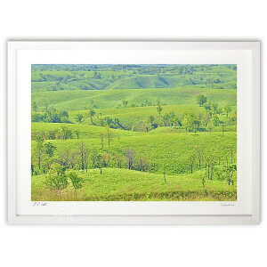 ŉ O[J[ybg (mitan)CeA Ǌ| z i |X^[ A[g rO ւɏ  v[g _ A[gt[