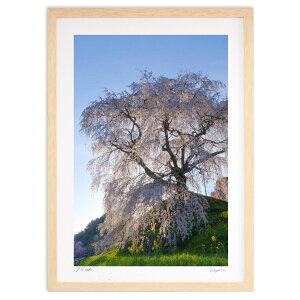 ŉ ̖q (h)CeA Ǌ| z i |X^[ A[g rO ւɏ  v[g _ A[gt[