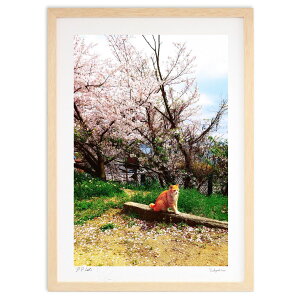 ŉ L (c t)CeA Ǌ| z i |X^[ A[g rO ւɏ  v[g _ A[gt[