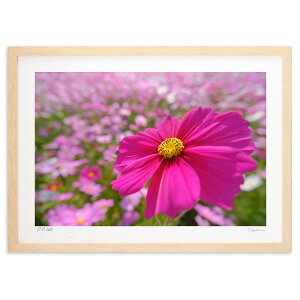 ŉ RXX (h)CeA Ǌ| z i |X^[ A[g rO ւɏ  v[g _ A[gt[