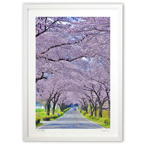 ŉ ō̍h[ (mitan)CeA Ǌ| z i |X^[ A[g rO ւɏ  v[g _ A[gt[