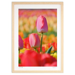 ŉ `[bṽsN (h)CeA Ǌ| z i |X^[ A[g rO ւɏ  v[g _ A[gt[