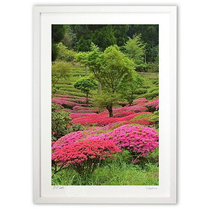 ŉ UPPu (mitan)CeA Ǌ| z i |X^[ A[g rO ւɏ  v[g _ A[gt[