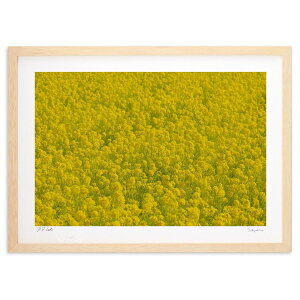 ŉ r^~J[ (h)CeA Ǌ| z i |X^[ A[g rO ւɏ  v[g _ A[gt[