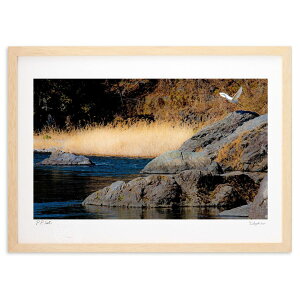 ŉ t̗ (쌛)CeA Ǌ| z i |X^[ A[g rO ւɏ  v[g _ A[gt[