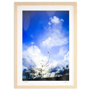 ŉ NX^[ (\)CeA Ǌ| z i |X^[ A[g rO ւɏ  v[g _ A[gt[