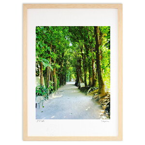 ŉ ̃tNM (takko)CeA Ǌ| z i |X^[ A[g rO ւɏ  v[g _ A[gt[