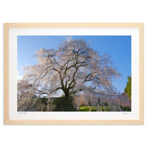 ŉ ̖{̑ (h)CeA Ǌ| z i |X^[ A[g rO ւɏ  v[g _ A[gt[