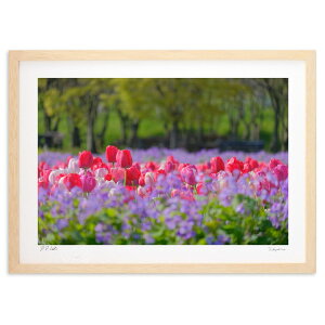 ŉ tɂ悮 (h)CeA Ǌ| z i |X^[ A[g rO ւɏ  v[g _ A[gt[