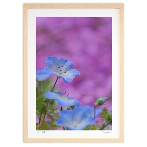 ŉ t̍ (h)CeA Ǌ| z i |X^[ A[g rO ւɏ  v[g _ A[gt[