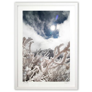 ŉ J (䐬M)CeA Ǌ| z i |X^[ A[g rO ւɏ  v[g _ A[gt[