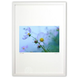 ŉ HF (RR)CeA Ǌ| z i |X^[ A[g rO ւɏ  v[g _ A[gt[