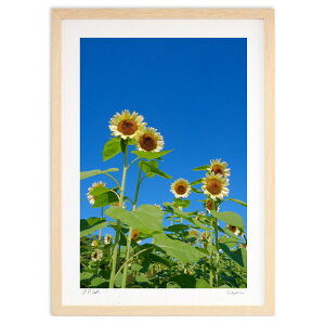 ŉ Ђ܂ (h)CeA Ǌ| z i |X^[ A[g rO ւɏ  v[g _ A[gt[