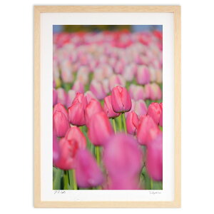 ŉ sÑ`[bv (h)CeA Ǌ| z i |X^[ A[g rO ւɏ  v[g _ A[gt[