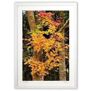 ŉ HEART߂ (mitan)CeA Ǌ| z i |X^[ A[g rO ւɏ  v[g _ A[gt[