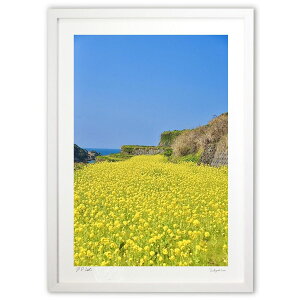 ŉ ƍ؂̉ (mitan)CeA Ǌ| z i |X^[ A[g rO ւɏ  v[g _ A[gt[