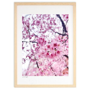 ŉ sN̐E (FiMisoraj)CeA Ǌ| z i |X^[ A[g rO ւɏ  v[g _ A[gt[