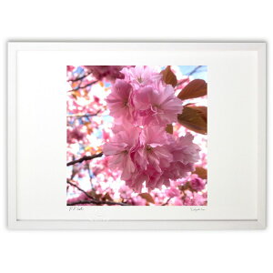 ŉ C̏̎q (At^k[SP)CeA Ǌ| z i |X^[ A[g rO ւɏ  v[g _ A[gt[