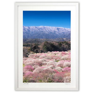 ŉ R{[V (ramble)CeA Ǌ| z i |X^[ A[g rO ւɏ  v[g _ A[gt[