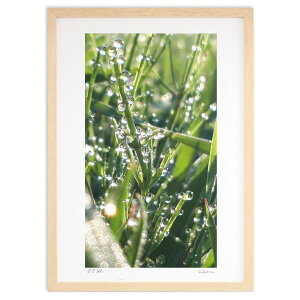 ŉ I (sayu)CeA Ǌ| z i |X^[ A[g rO ւɏ  v[g _ A[gt[