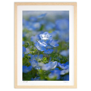 ŉ ltB̋P (h)CeA Ǌ| z i |X^[ A[g rO ւɏ  v[g _ A[gt[