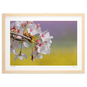 ŉ tF (h)CeA Ǌ| z i |X^[ A[g rO ւɏ  v[g _ A[gt[