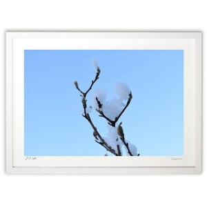 ŉ F (RR)CeA Ǌ| z i |X^[ A[g rO ւɏ  v[g _ A[gt[