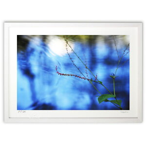 ŉ H (쌛)CeA Ǌ| z i |X^[ A[g rO ւɏ  v[g _ A[gt[