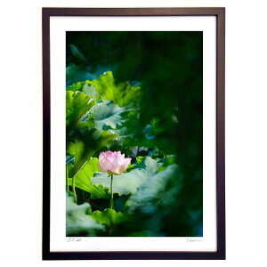 ŉ ΂̐Eɍ炭@̉ (h)CeA Ǌ| z i |X^[ A[g rO ւɏ  v[g _ A[gt[