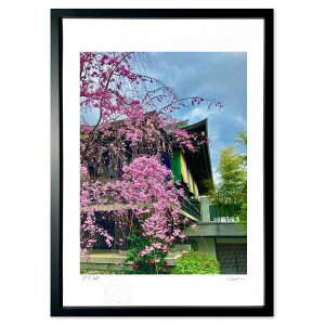 ŉ t̎ (ma-sa)CeA Ǌ| z i |X^[ A[g rO ւɏ  v[g _ A[gt[