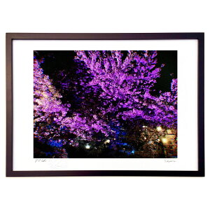 ŉ J̖ (ma-sa)CeA Ǌ| z i |X^[ A[g rO ւɏ  v[g _ A[gt[