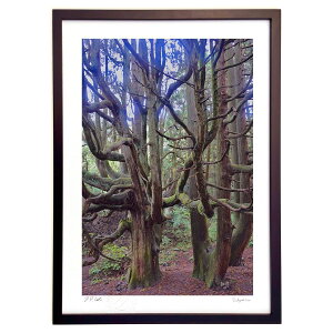 ŉ C (mitan)CeA Ǌ| z i |X^[ A[g rO ւɏ  v[g _ A[gt[