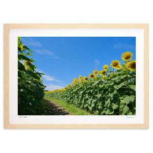 ŉ Ăւ̓ (h)CeA Ǌ| z i |X^[ A[g rO ւɏ  v[g _ A[gt[