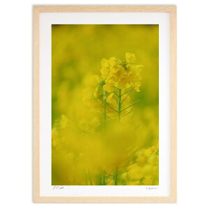 ŉ ʐ^ ؂̉Ԕicj (h)CeA Ǌ| z i |X^[ A[g rO ւɏ  v[g _ A[gt[