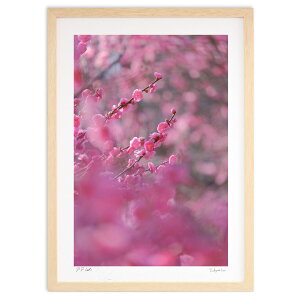 ŉ ʐ^ t̉icj (h)CeA Ǌ| z i |X^[ A[g rO ւɏ  v[g _ A[gt[