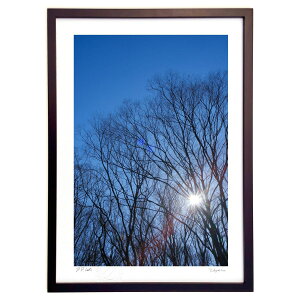 ŉ t҂ (h)CeA Ǌ| z i |X^[ A[g rO ւɏ  v[g _ A[gt[